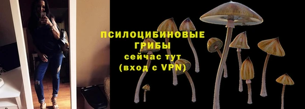 бутират Алексеевка