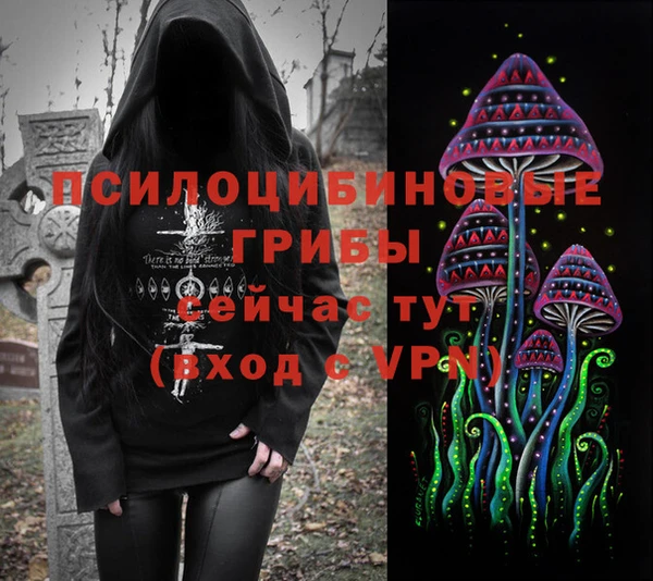 эйфоретик Алексин