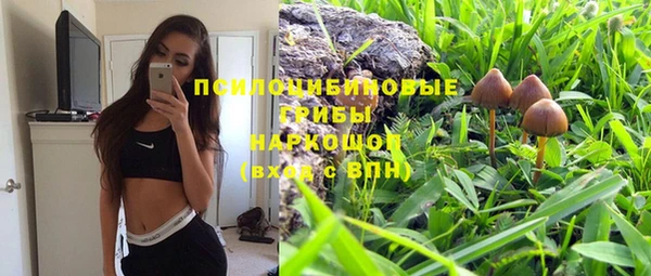 эйфоретик Алексин