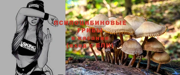 эйфоретик Алексин