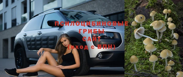 мдма Елизово