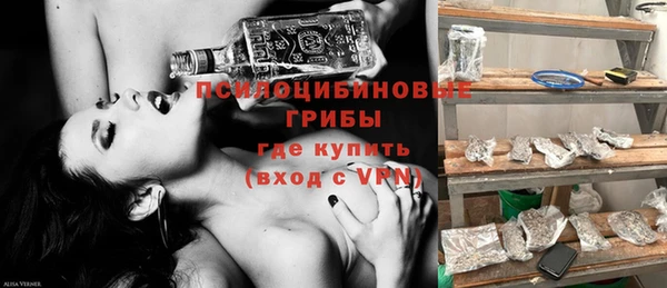 ПСИЛОЦИБИНОВЫЕ ГРИБЫ Елабуга