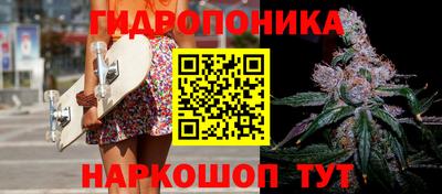 гашик Майкоп