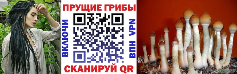 Псилоцибиновые грибы прущие грибы  Апрелевка 